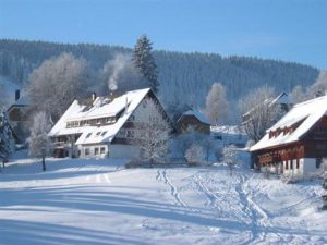 winter014-1